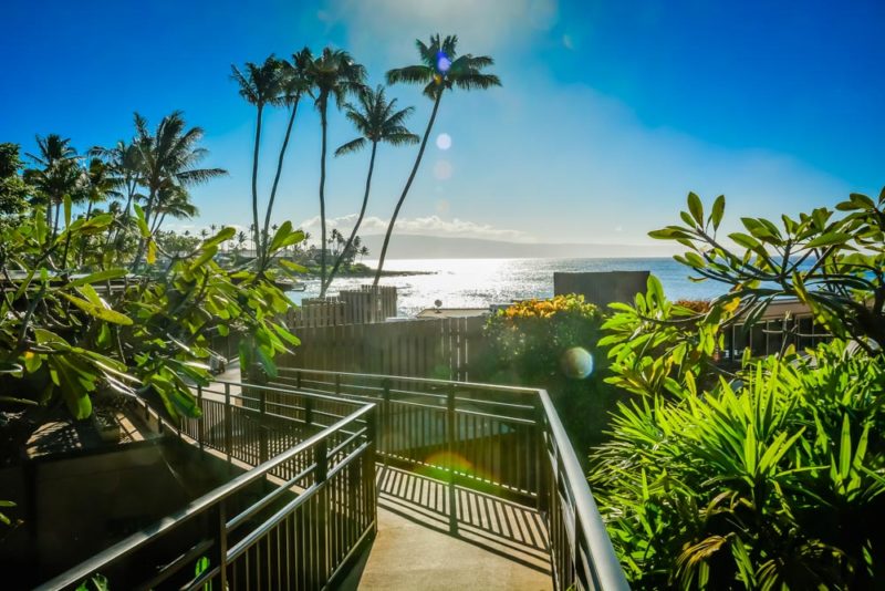 Unique Things to do on Maui: Napili Beach