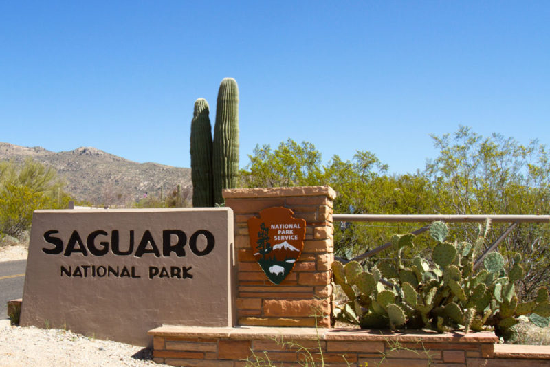 What to do in Arizona: Saguaro National Park