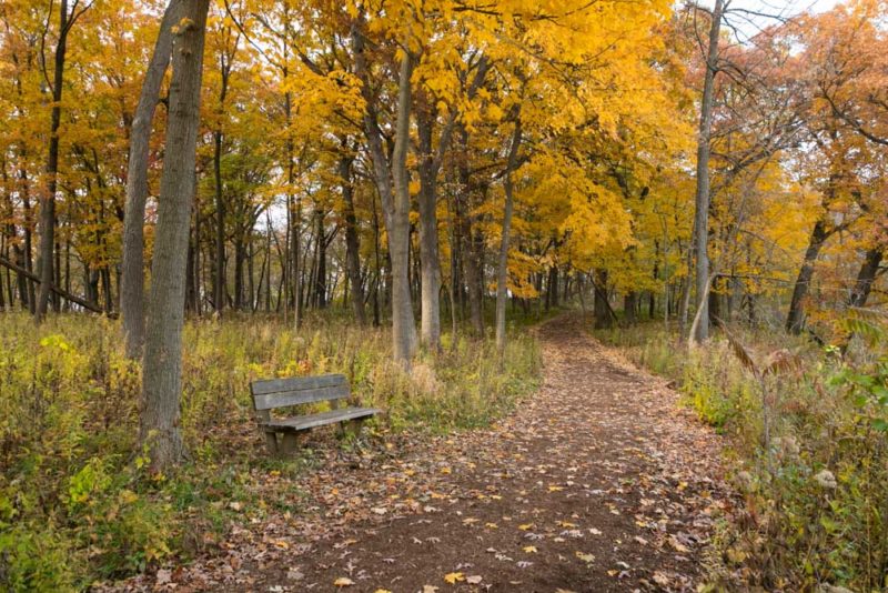 What to do in Illinois: The Morton Arboretum