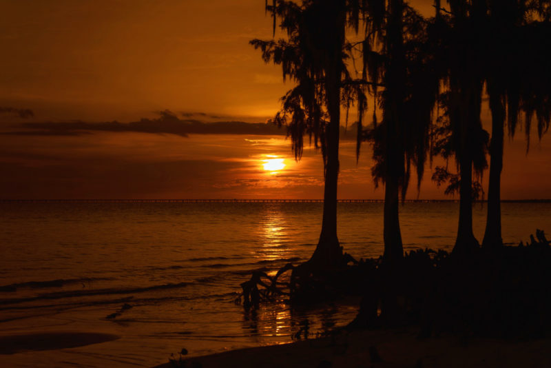 What to do in Louisiana: Fontainebleau State Park