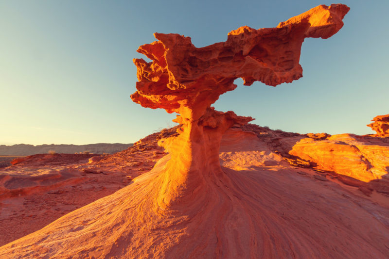 What to do in Nevada: Gold Butte National Monument