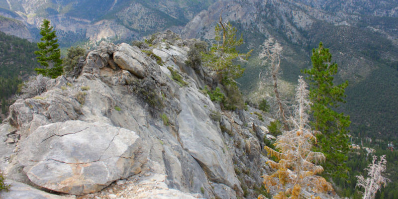 What to do in Nevada: Mount Charleston