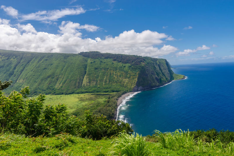 What to do on Hawaii’s Big Island: Snorkel or Dive with Manta Rays