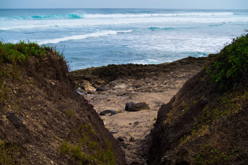 What to do on Oahu: Kaena Point State Park
