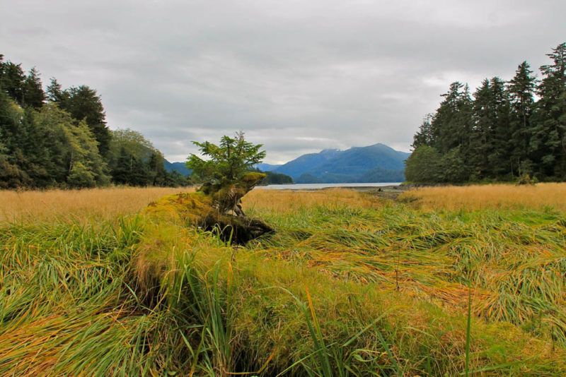 Alaska Things to do: Sitka National Historical Park