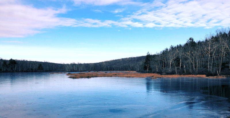 Best Things to do in Connecticut: Pachaug State Forest