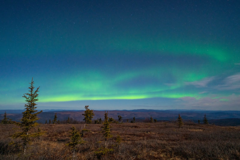 Cool Things to do in Alaska: Northern Lights in Fairbanks