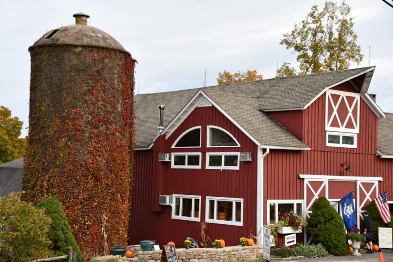 Cool Things to do in Connecticut: Connecticut Wine Trail