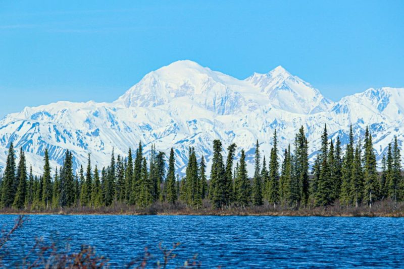 Unique Things to do in Alaska: Denali National Park