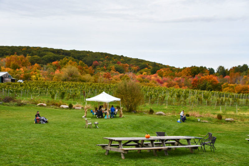 Unique Things to do in Connecticut: Connecticut Wine Trail