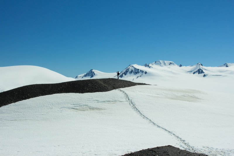 What to do in Alaska: Harding Icefield in Kenai Fjords National Park