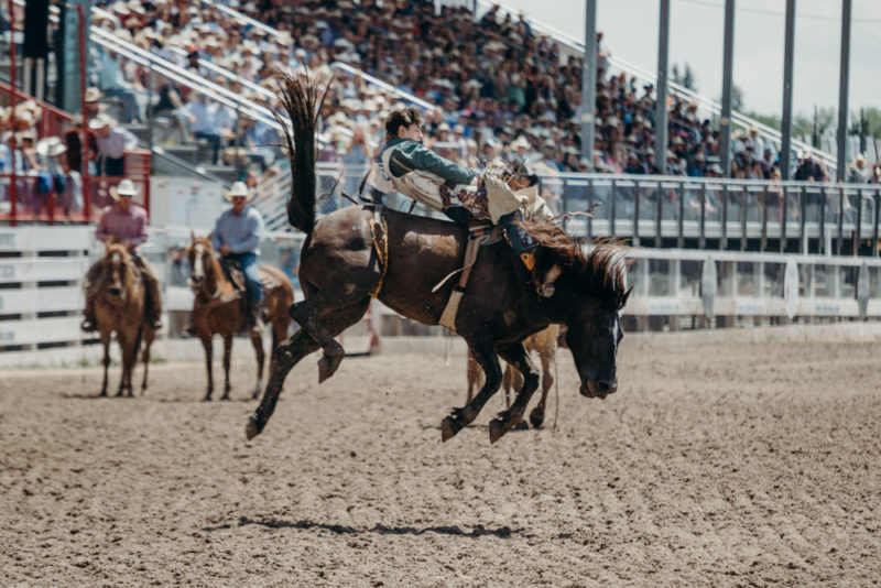 Best Things to do in Wyoming: Cheyenne Frontier Days