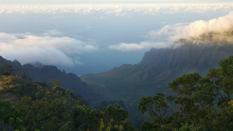 Cheap Vacation in Kauai: Awa’awapuhi Trail