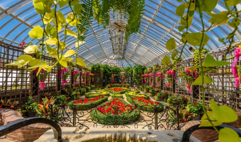 Cool Things to do in Pennsylvania: Botanical Gardens at Phipps Conservatory