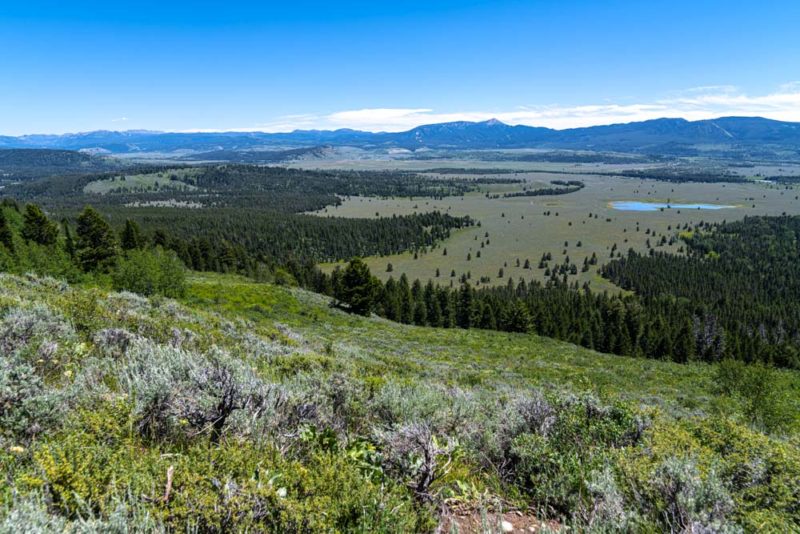 Cool Things to do in Wyoming: Bridger-Teton National Forest