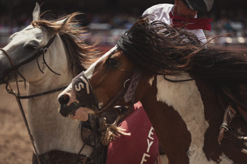 Cool Things to do in Wyoming: Cheyenne Frontier Days