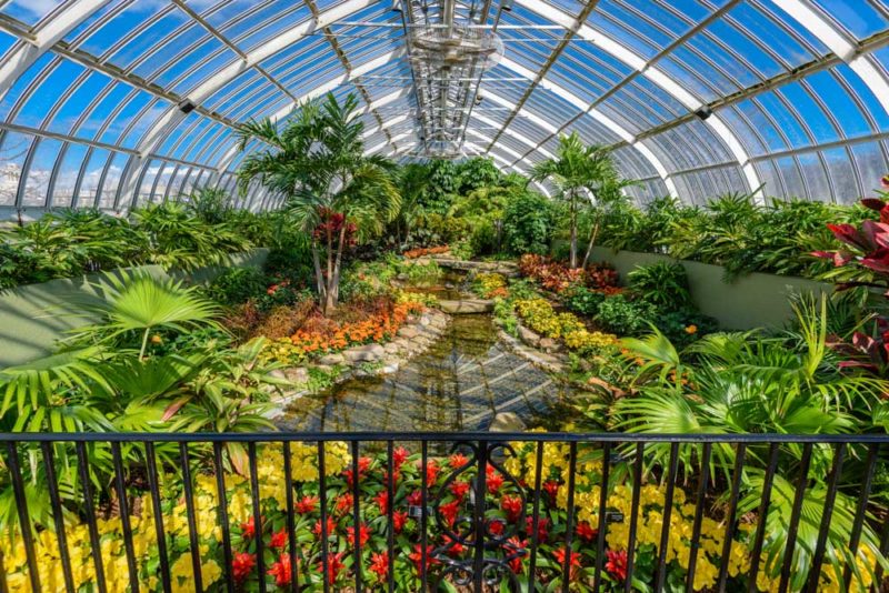 Fun Things to do in Pennsylvania: Botanical Gardens at Phipps Conservatory