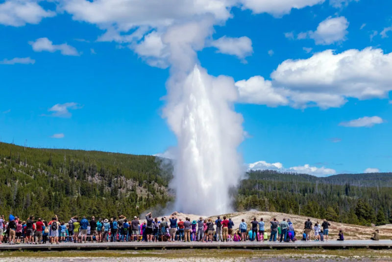 Fun Things to do in Wyoming: Yellowstone National Park