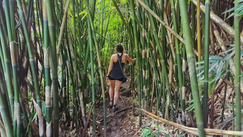 Kauai, Kalalua Trail: Bamboo Hanakapaai Falls