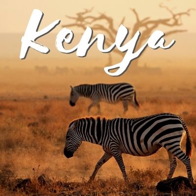 Travel Guide to Kenya
