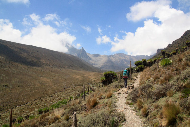 Mount Kenya Climb: Path leading to Valley