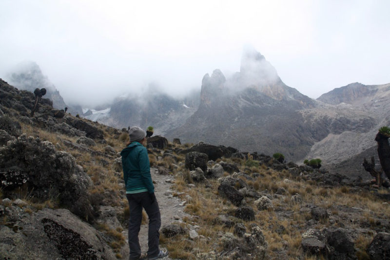 Mount Kenya Hike: Path Leading to Point Lenana