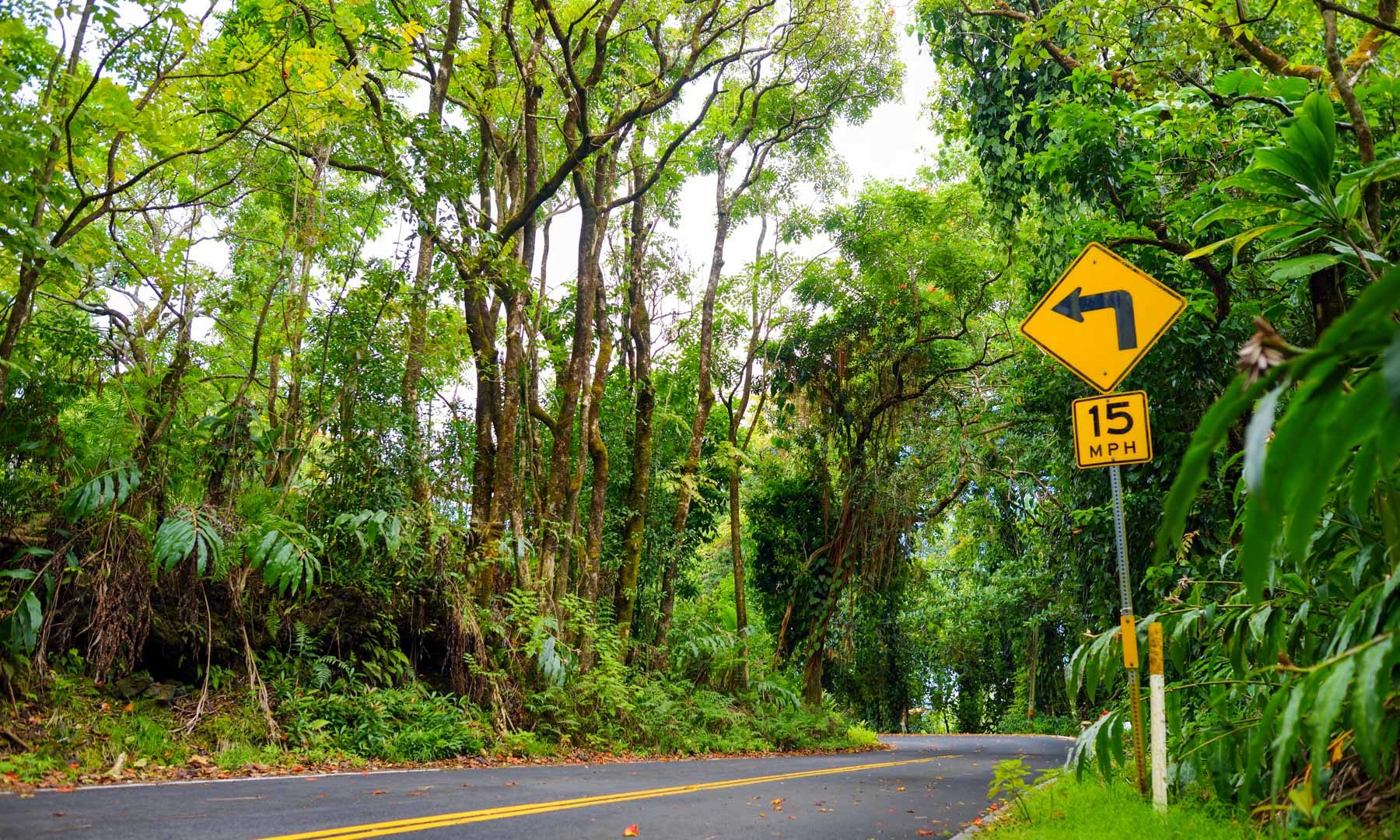 Road to Hana Stops: The Ultimate Guide