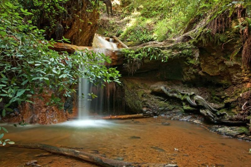 Santa Cruz Bucket List: Hike to Berry Creek Falls in Big Basin Redwoods State Park