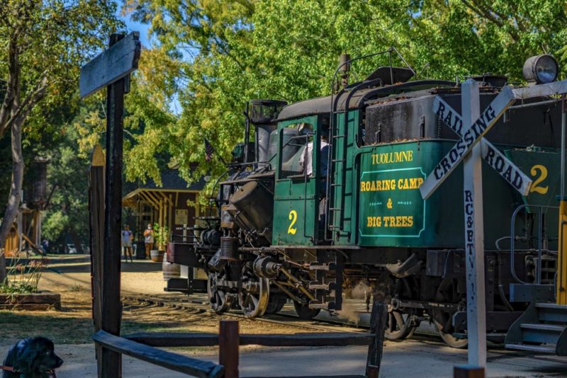 Santa Cruz Things to do: Roaring Camp Railroad