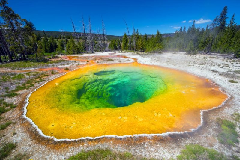 Unique Things to do in Wyoming: Yellowstone National Park