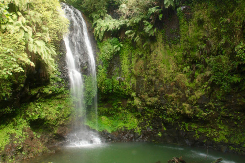Visit Madagascar: Amber Mountain Waterfalls