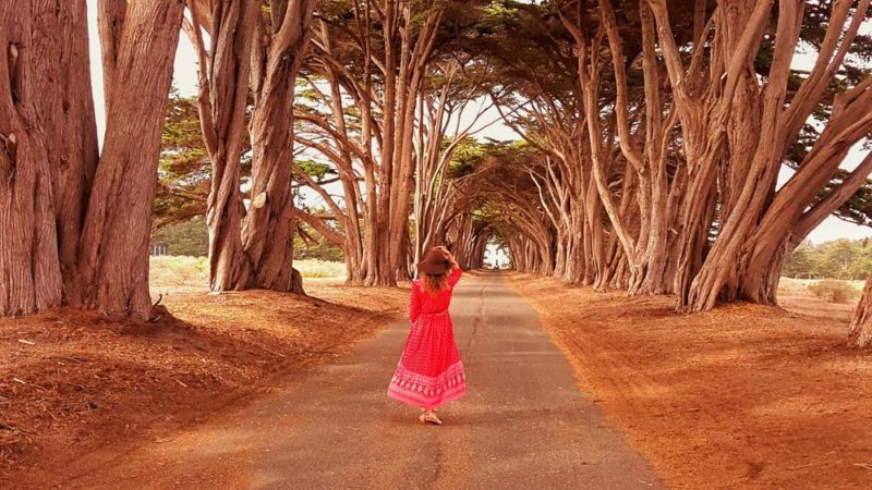 Best Hikes in Point Reyes: Cyprus Tree Tunnel