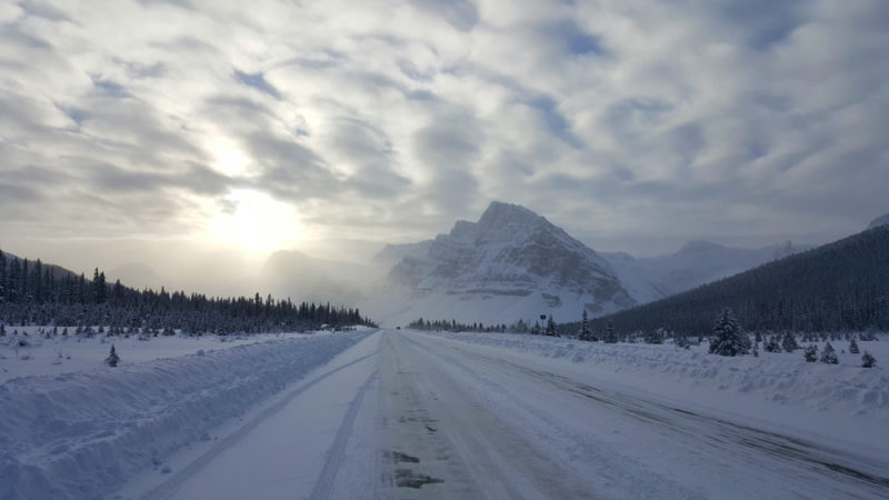 Best Hikes in the Canadian Rockies: Icefields Parkways