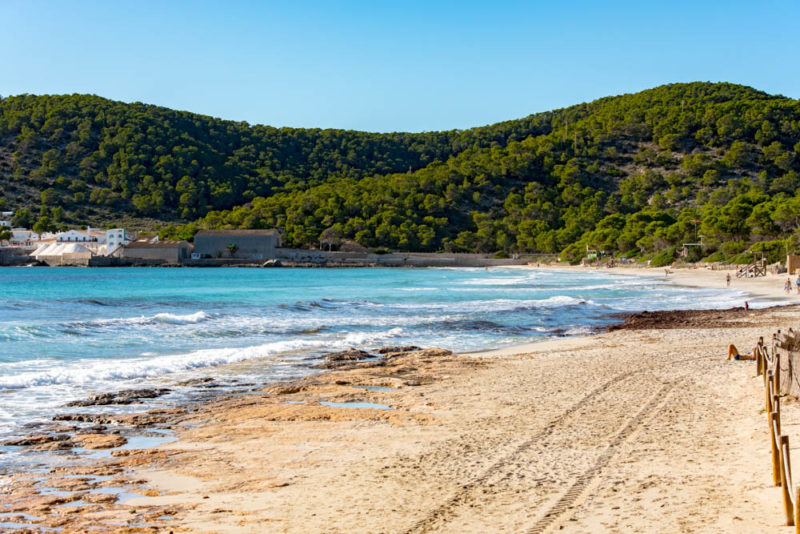 Best Things to do in Ibiza: Ses Salines