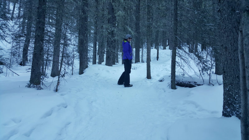 Canmore Hiking Trails: In the Woods