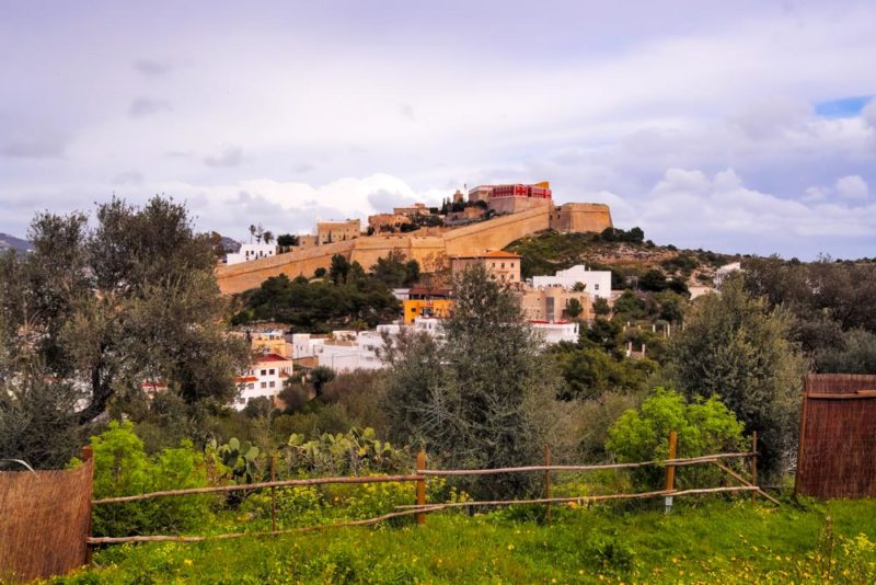 Cool Things to do in Ibiza: Puig des Molins