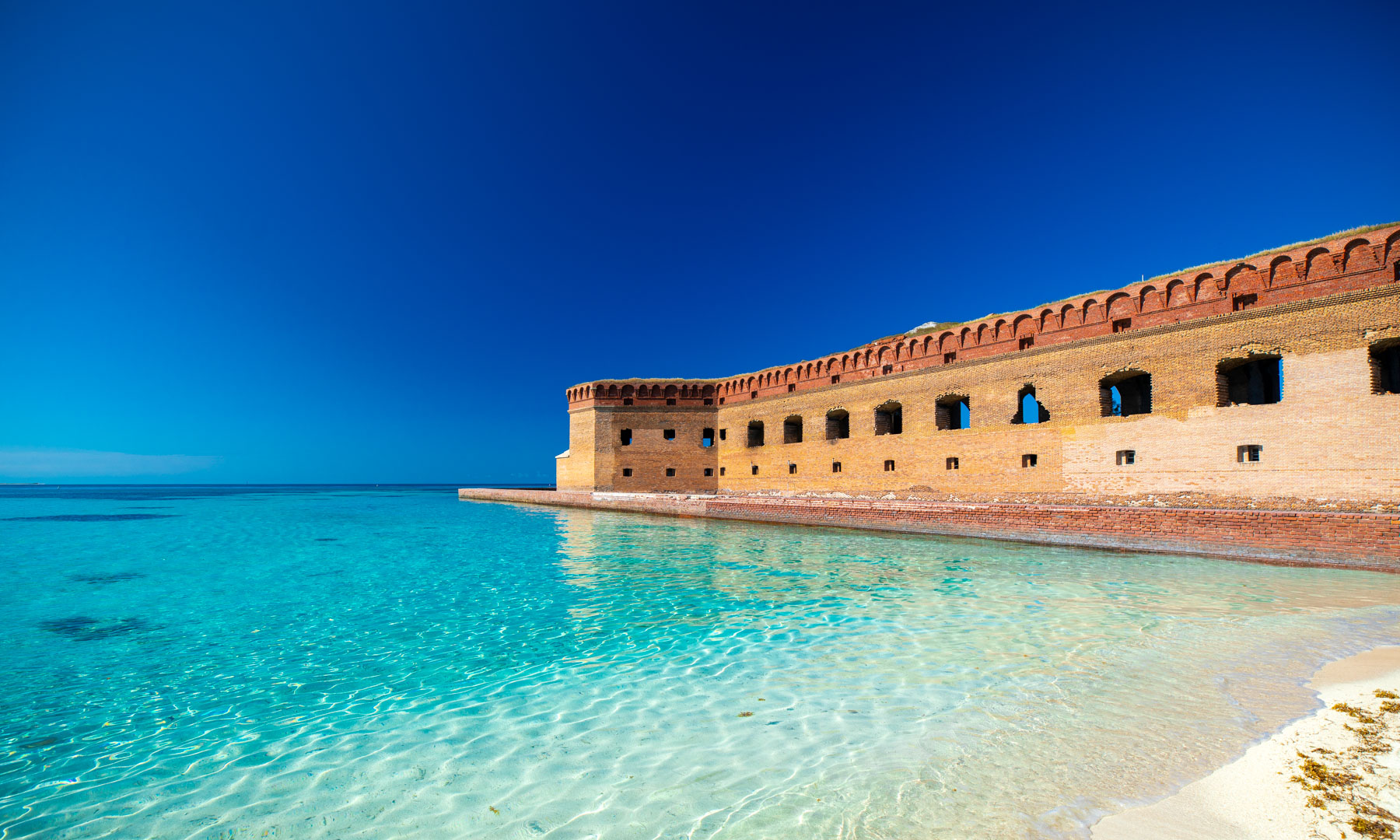 Complete Guide to Camping at Dry Tortugas National Park – Wandering  Wheatleys