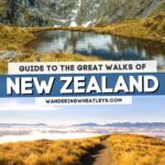 Guide to the Great Walks of New Zealand