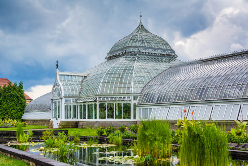 Must do things in Pittsburgh: Phipps Conservatory