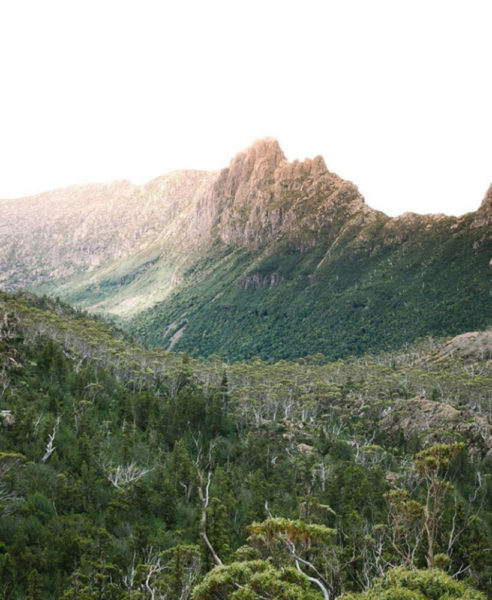 Must See Tasmania: Pine Valley