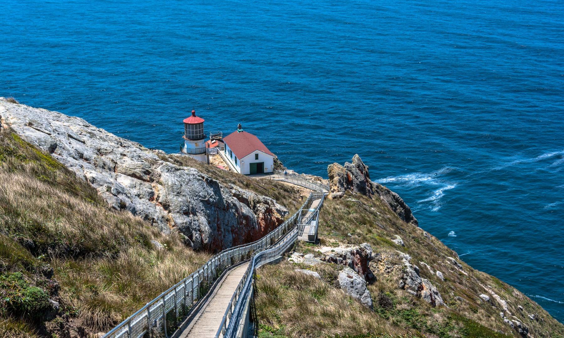The Best Things to Do in Point Reyes, California