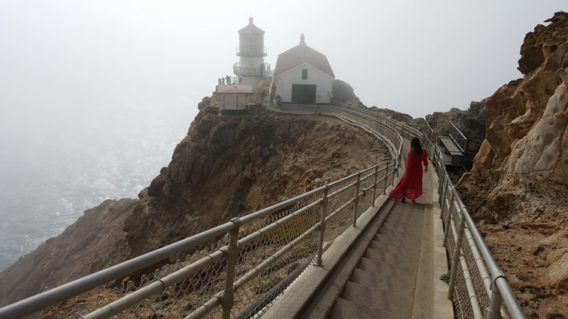 Tihngs to do in Point Reyes: Lighthouse