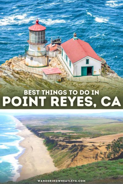 Top Things to do in Point Reyes, California