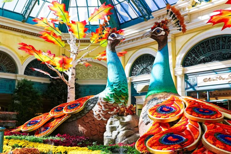 What to do in Las Vegas: Bellagio Conservatory & Botanical Garden