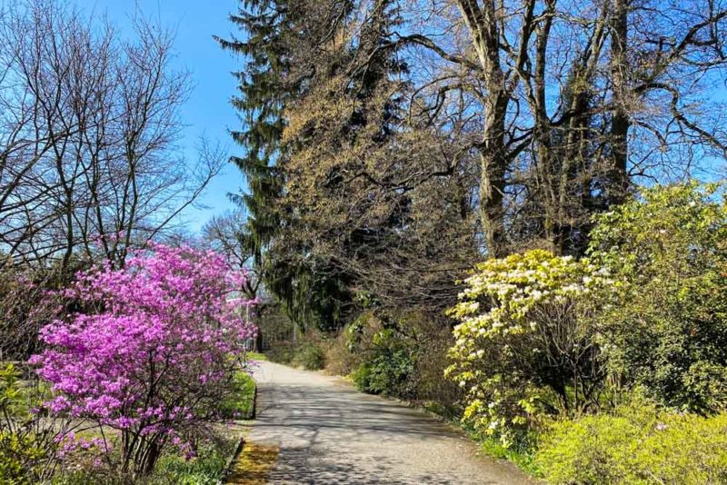 Best Things to do in Geneva: Geneva Botanical Gardens