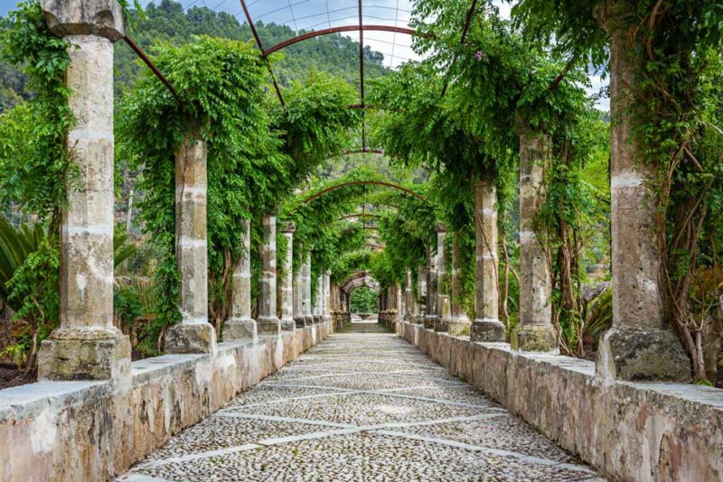 Best Things to do in Majorca: Jardines de Alfabia