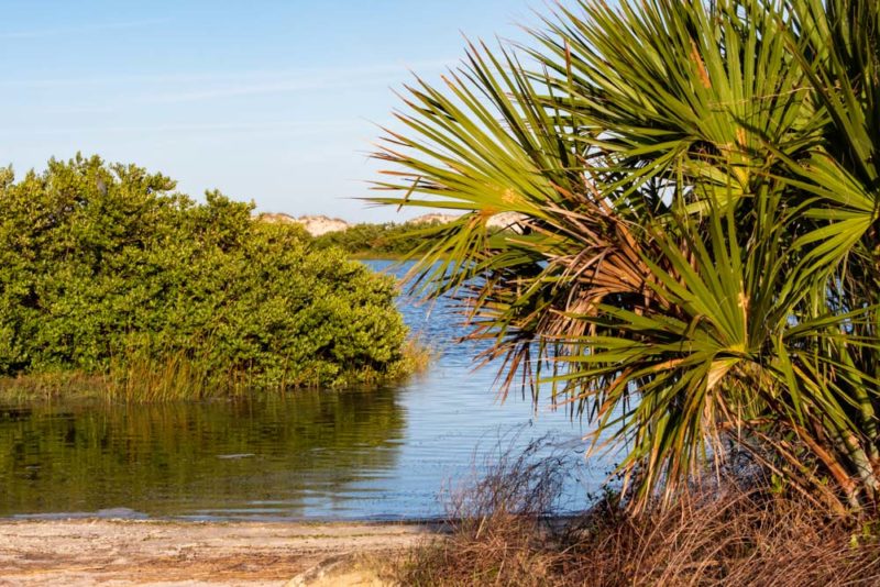Best Things to do in St. Augustine: Kayaking Excursion