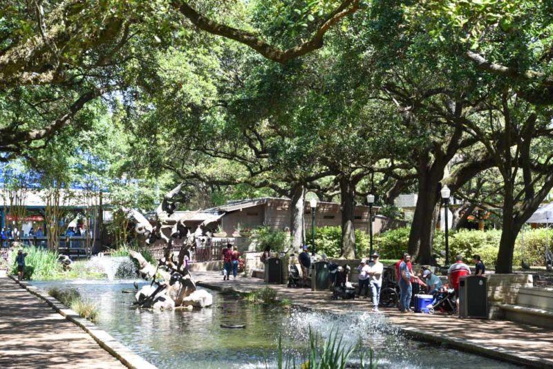 Cool Things to do in Houston: Houston Zoo