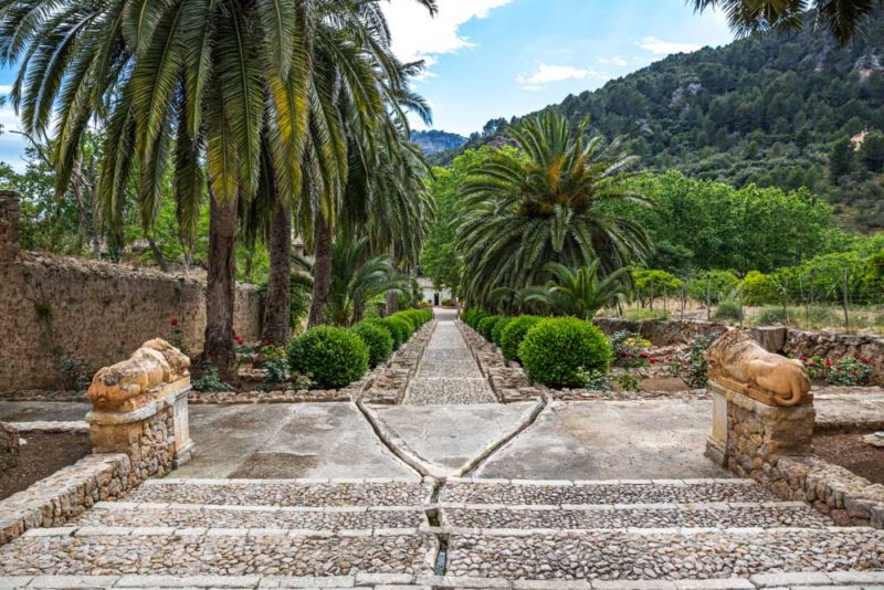 Cool Things to do in Majorca: Jardines de Alfabia