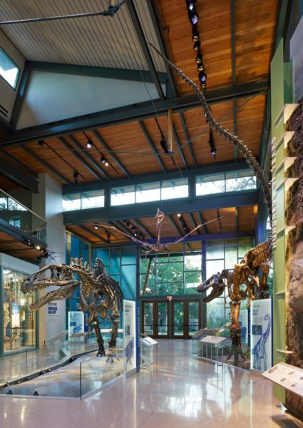 Cool Things to do in San Antonio: Witte Museum